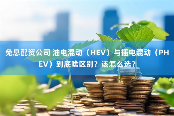 免息配资公司 油电混动（HEV）与插电混动（PHEV）到底啥区别？该怎么选？